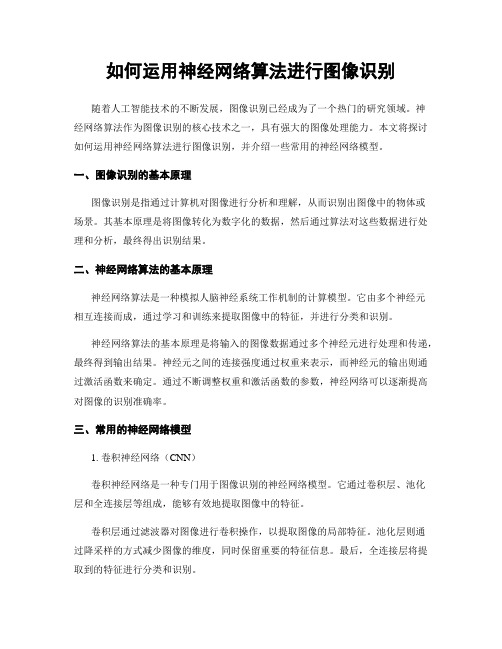 如何运用神经网络算法进行图像识别