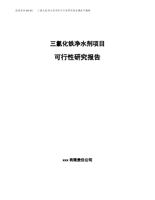 三氯化铁净水剂项目可行性研究报告模板可编辑