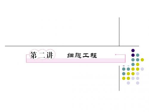 选修三1-2细胞工程