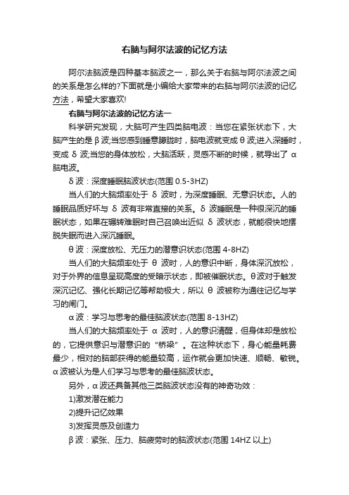 右脑与阿尔法波的记忆方法