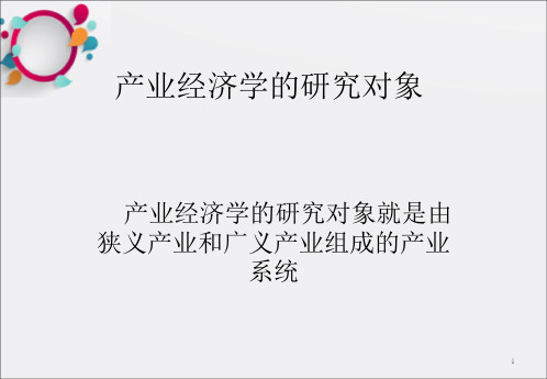 产业经济学ppt课件第一章:导论