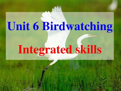 牛津译林版8A Unit6 Birdwatching Integrated skills课件(共19张PPT)
