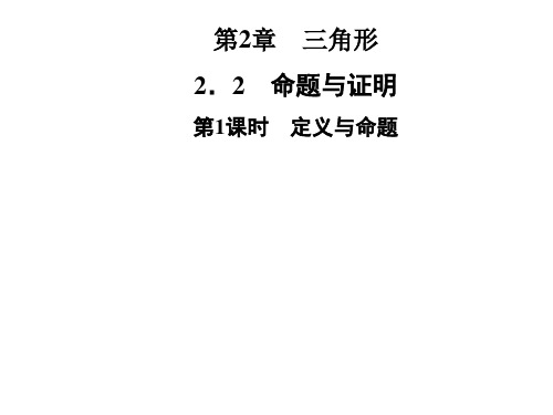 湘教版八年级数学上册第2章 2.2 命题与证明 第1课时 定义与命题