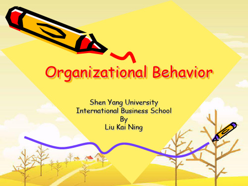 Organizational Behavior01