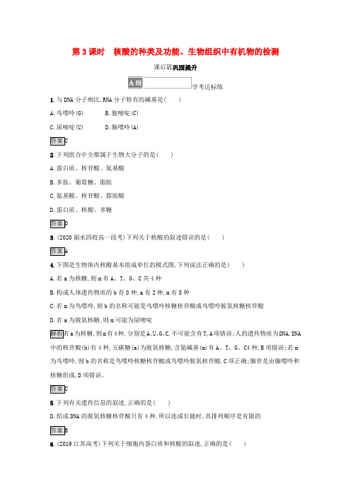 新教材高中生物第一章细胞的分子组成第二节第3课时核酸的种类及功能生物组织中有机物的检测训练(含解析)