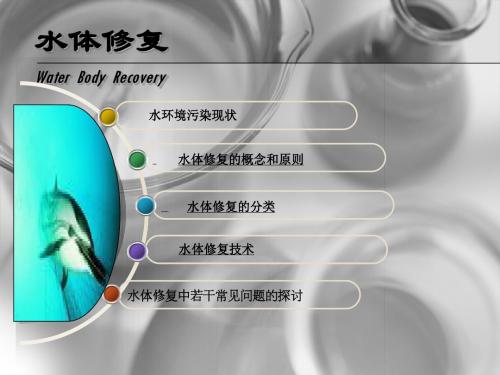 水体修复课件