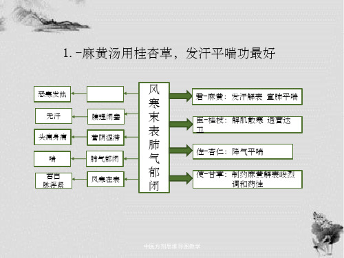 中医方剂思维导图教学