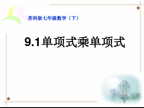 苏科版七年级下册数学《9.1 单项式乘单项式》