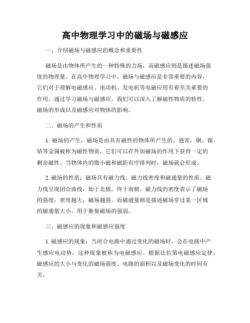 高中物理学习中的磁场与磁感应