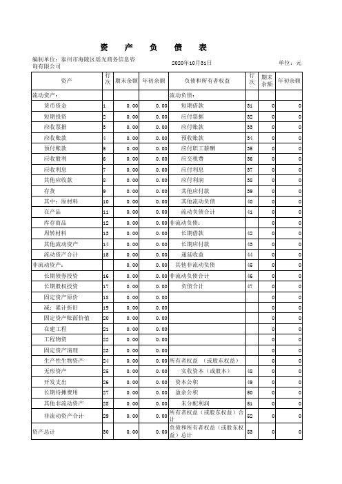 财务报表(国税申报模板)