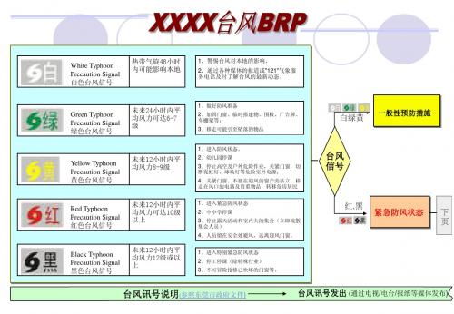 typhoon BRP 台风应急响应程序--流程图