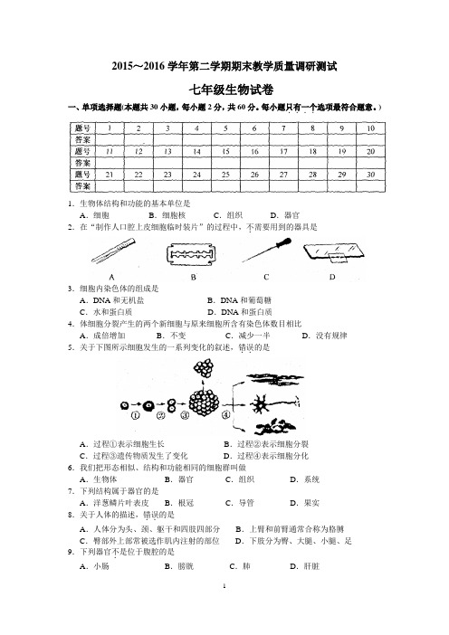 苏教版初中生物七年级下册期末考试【附参考答案】