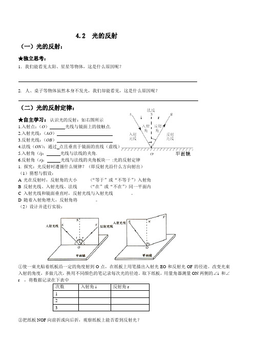 光的反射-导学案