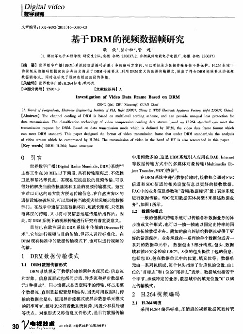 基于DRM的视频数据帧研究