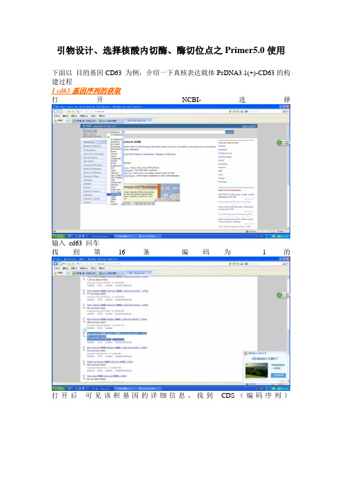 引物设计心得、Primer5.0 使用