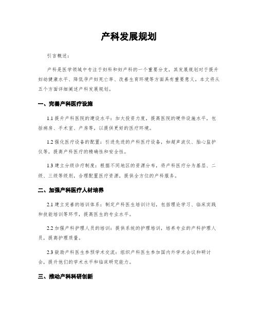 产科发展规划