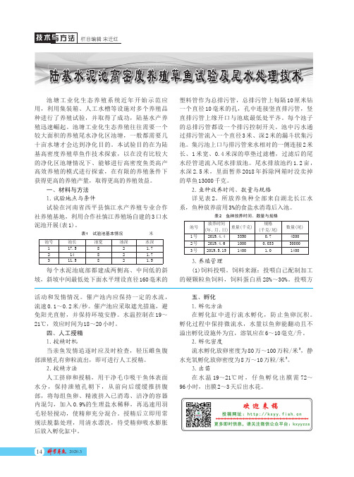 陆基水泥池高密度养殖草鱼试验及尾水处理技术