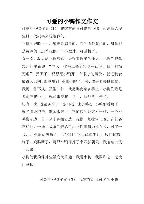 可爱的小鸭作文作文