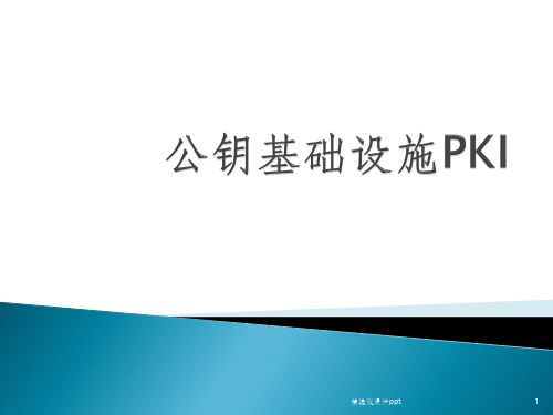 PKI数字证书信息安全与电子政务问题ppt课件