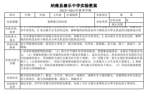 观察根尖的结构实验教案