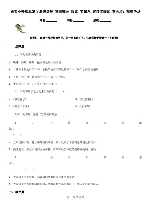 语文小升初总复习系统讲解 第三部分 阅读 专题八 古诗文阅读 第五步：模拟考场