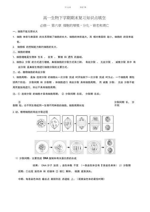 高中生物必修二知识点填空(含答案)