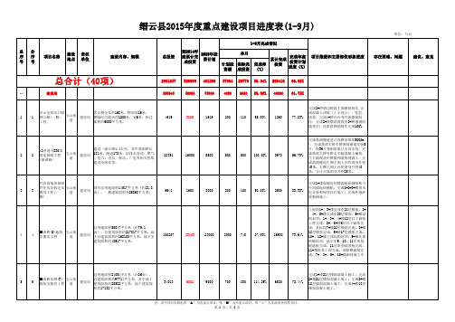 项目计划表