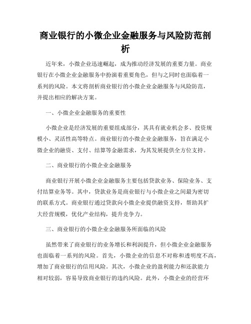 商业银行的小微企业金融服务与风险防范剖析