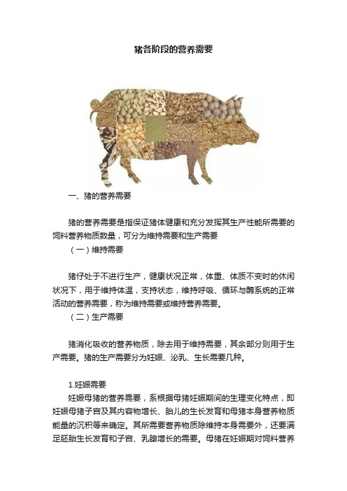 猪各阶段的营养需要