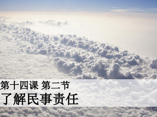 教科版九年级道德与法治上册14.2《了解民事责任》课件(共24张PPT)