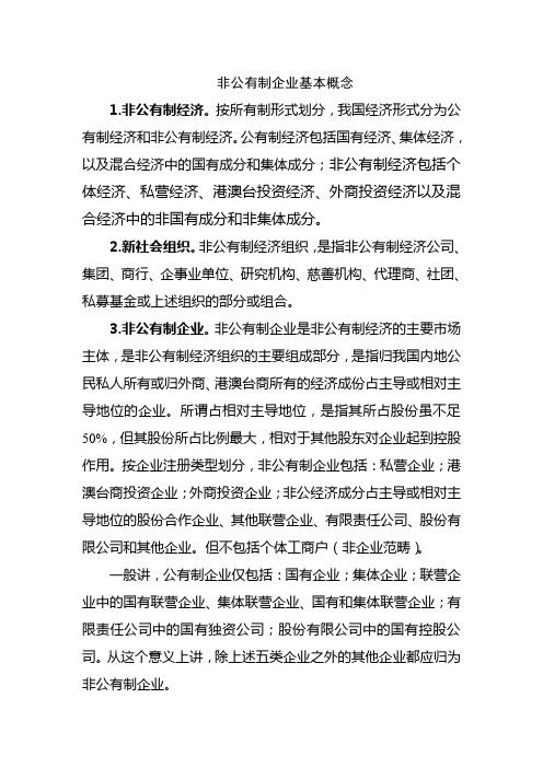 非公有制企业基本概念