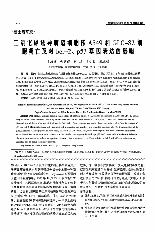 二氧化硒诱导肺癌细胞株A549和GLC-82细胞凋亡及对bcl-2、p53基因表达的影响