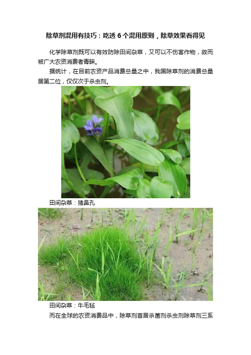 除草剂混用有技巧：吃透6个混用原则，除草效果看得见