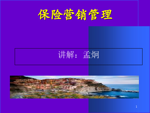 保险营销环境综合分析(ppt 85页)