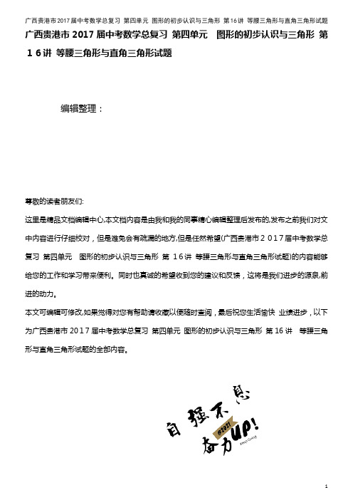 中考数学总复习 第四单元 图形的初步认识与三角形 第16讲 等腰三角形与直角三角形试题(2021学