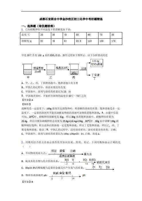 成都石室联合中学金沙校区初三化学中考好题精选