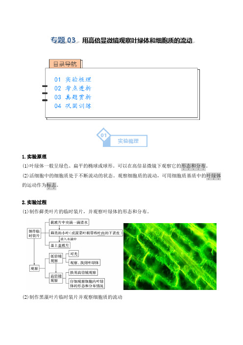 专题03用高倍显微镜观察叶绿体和细胞质的流动