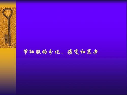 《细胞的分化、癌变和衰老》PPT课件8 人教版