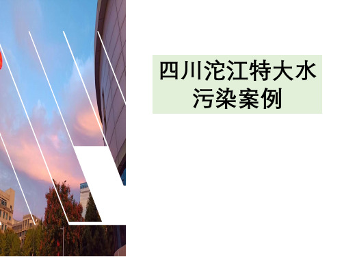 四川沱江特大水污染工程伦理案例分析