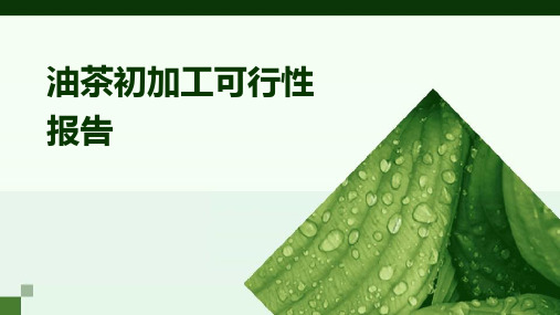 油茶初加工可行性报告