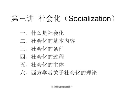 社会化Socializa课件