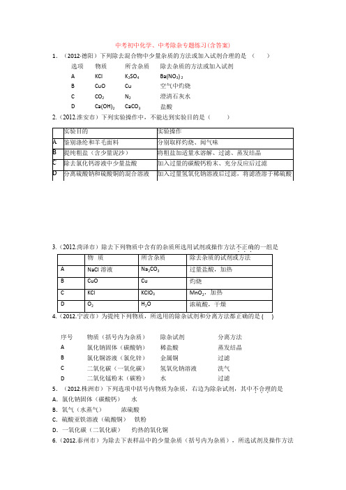 中考初中化学、中考除杂专题练习(含答案)