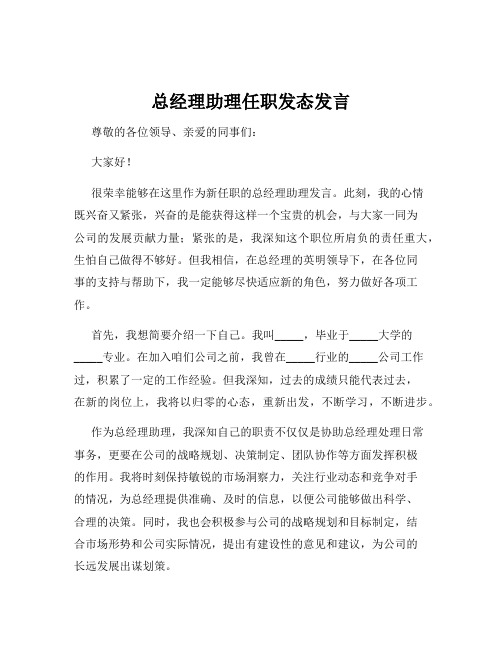 总经理助理任职发态发言