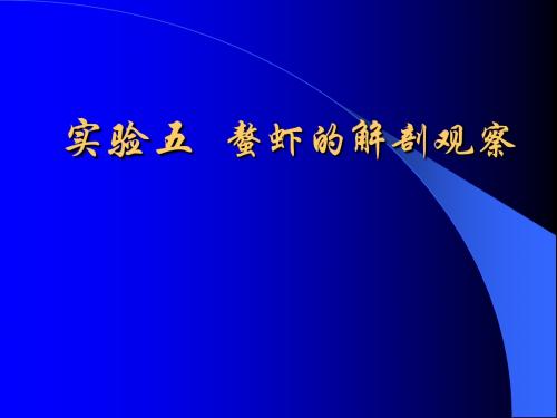 实验五 螯虾的解剖观察