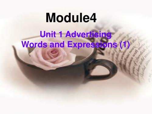 牛津译林版高中英语必修四Unit 1《Advertising》(Words and expressions)课件