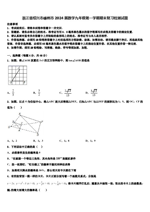 浙江省绍兴市嵊州市2024届数学九年级第一学期期末复习检测试题含解析