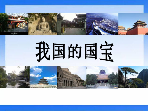 《我国的国宝》独具魅力的中华文化PPT课件