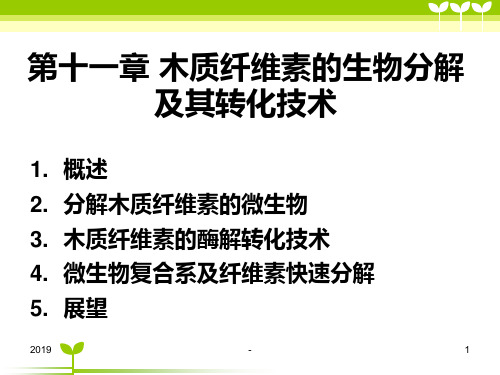 第十一章-木质纤维素的生物分解及其转化技术