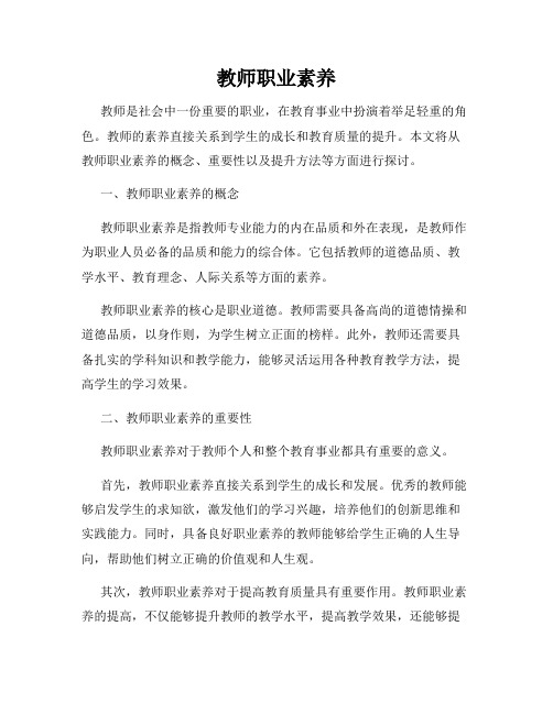 教师职业素养