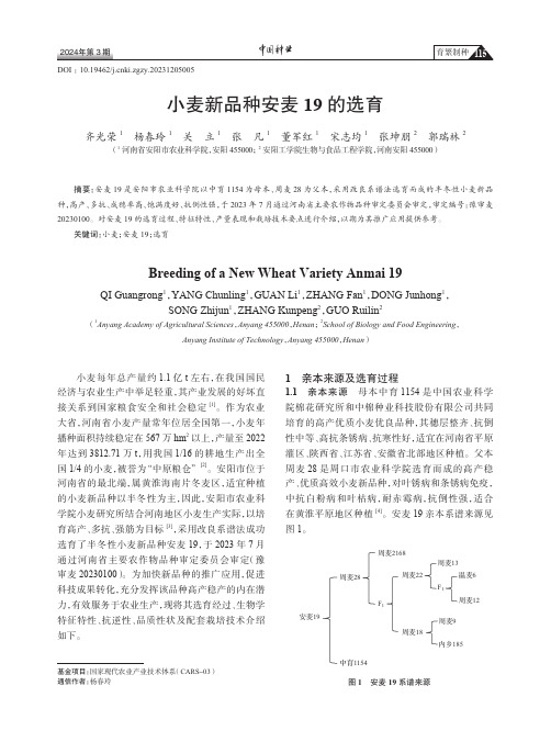 小麦新品种安麦19_的选育